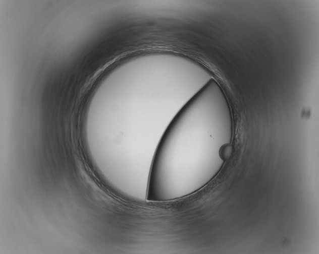 X0000114030722200910021040
