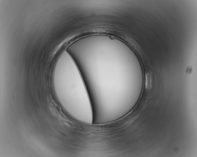 X0000114030723200910021040
