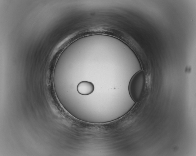 X0000114030724200910021040