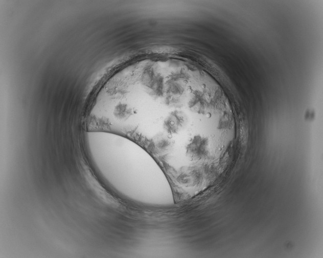 X0000114030725200910021040