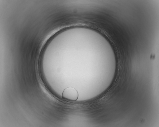 X0000114030726200910021040