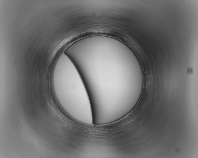 X0000114030727200910021040