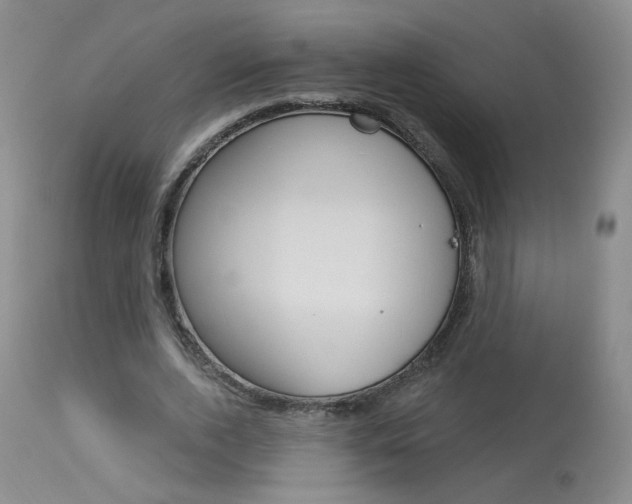 X0000114030728200910021040