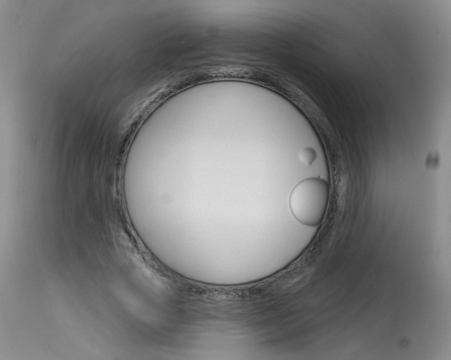X0000114030729200910021040