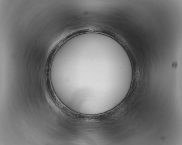 X0000114030730200910021040