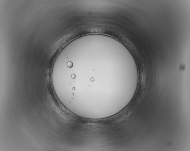 X0000114030733200910021040