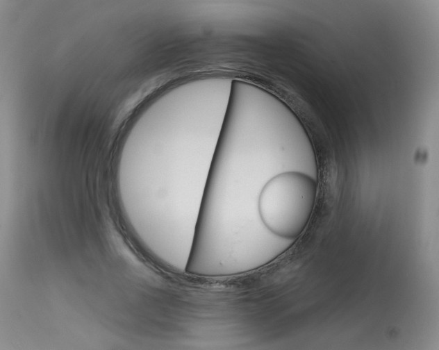 X0000114030734200910021040