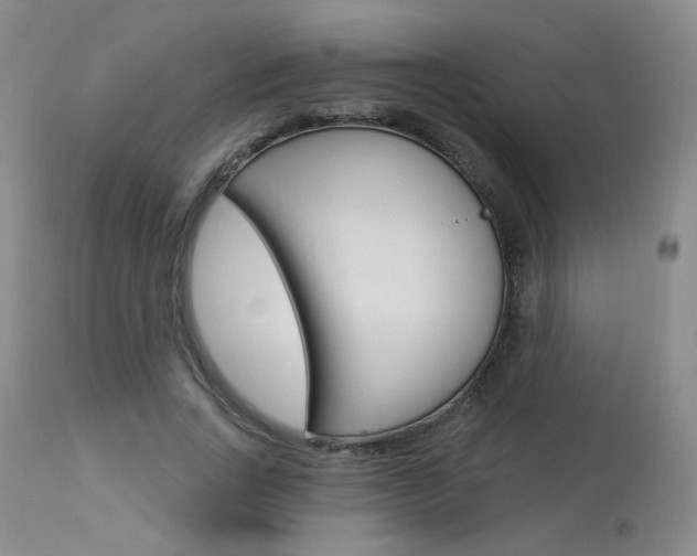 X0000114030735200910021040
