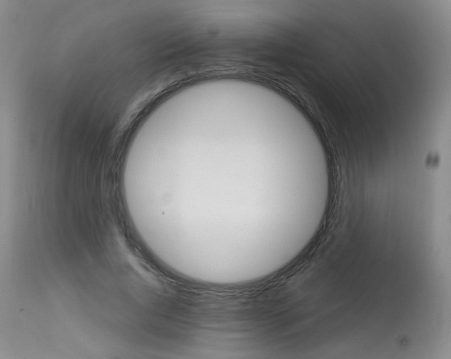 X0000114030736200910021040