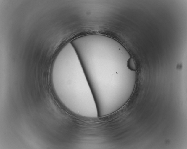 X0000114030739200910021040