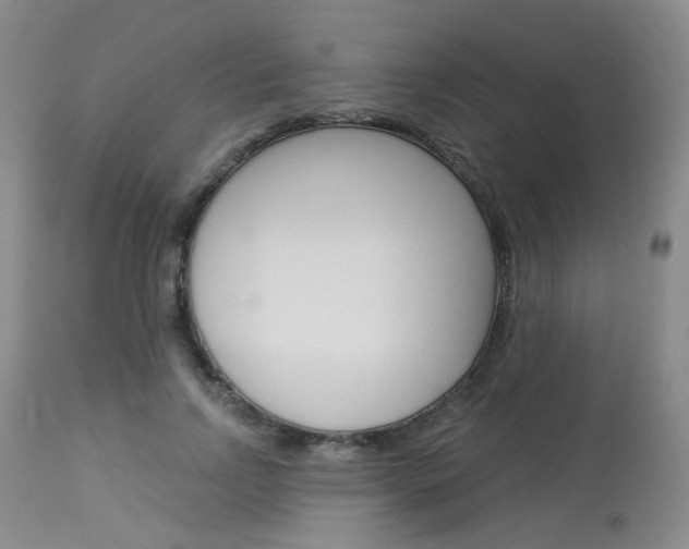 X0000114030742200910021040