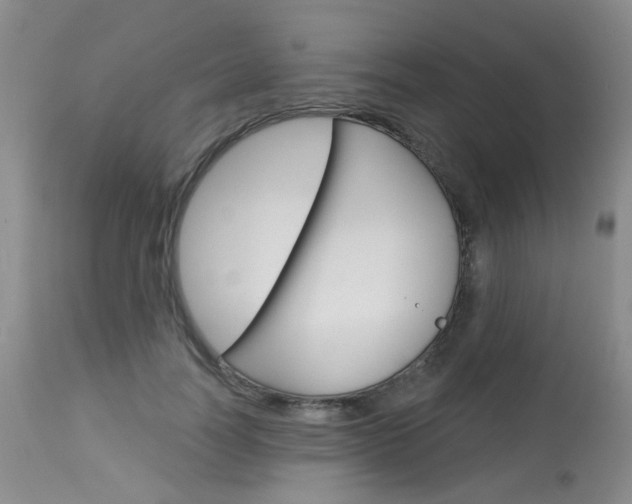 X0000114030746200910021040