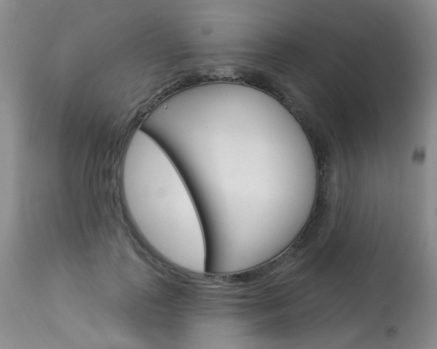 X0000114030747200910021040