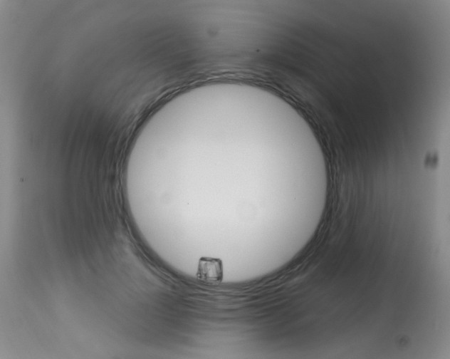 X0000114030748200910021040