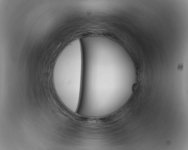 X0000114030752200910021041