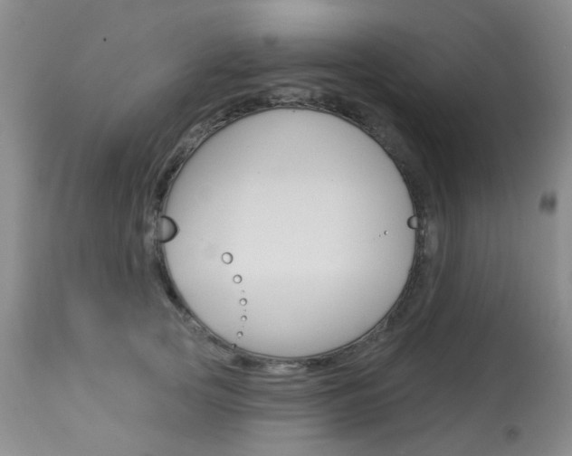 X0000114030753200910021041