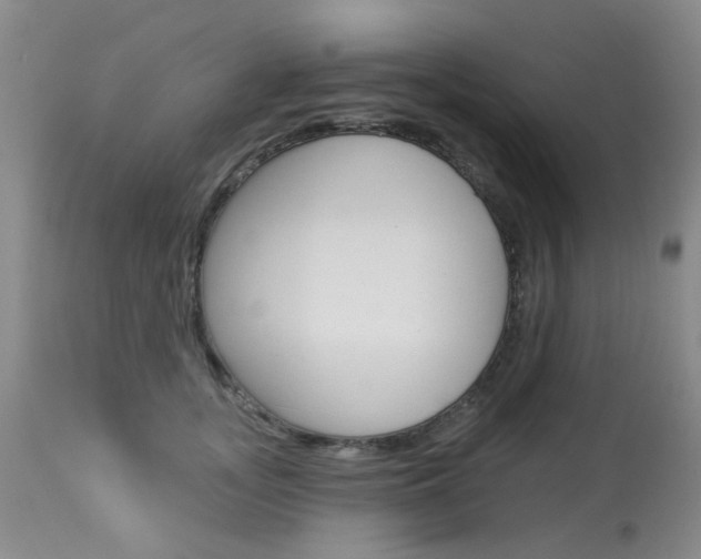 X0000114030755200910021041