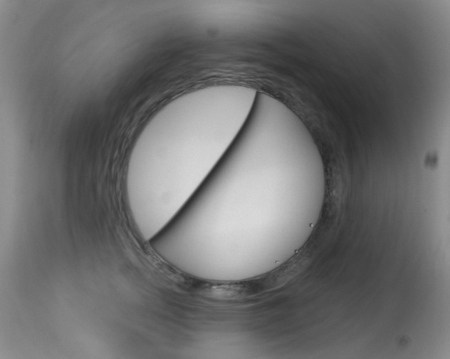 X0000114030758200910021041