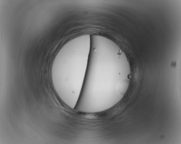 X0000114030759200910021041