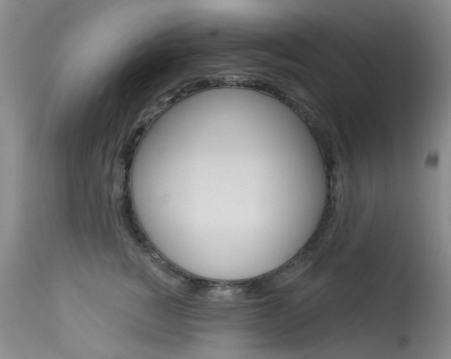 X0000114030760200910021041