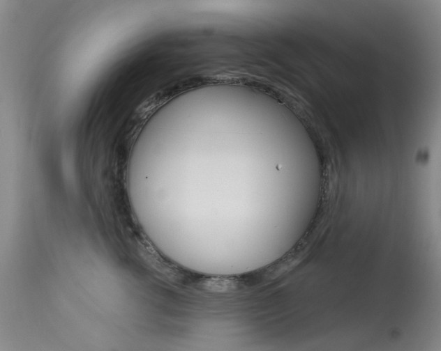 X0000114030762200910021041