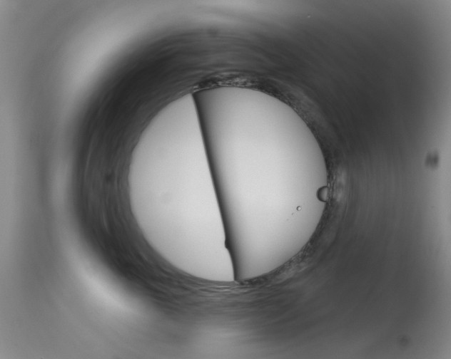X0000114030763200910021041