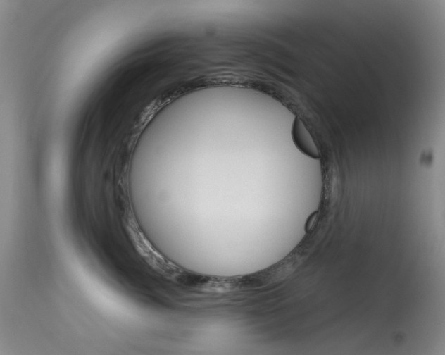 X0000114030764200910021041