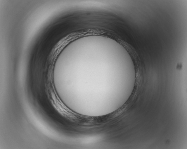 X0000114030765200910021041
