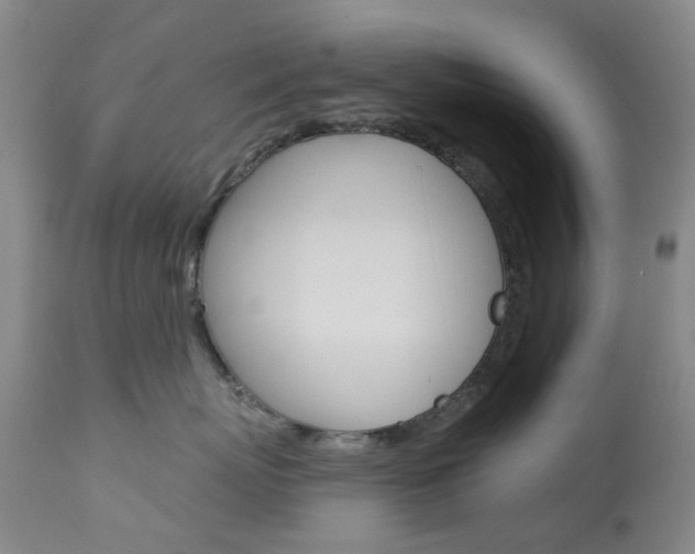 X0000114030767200910021041
