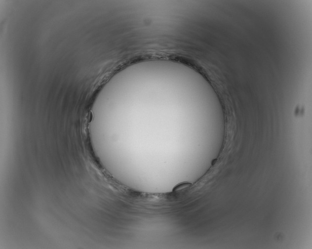 X0000114030768200910021041