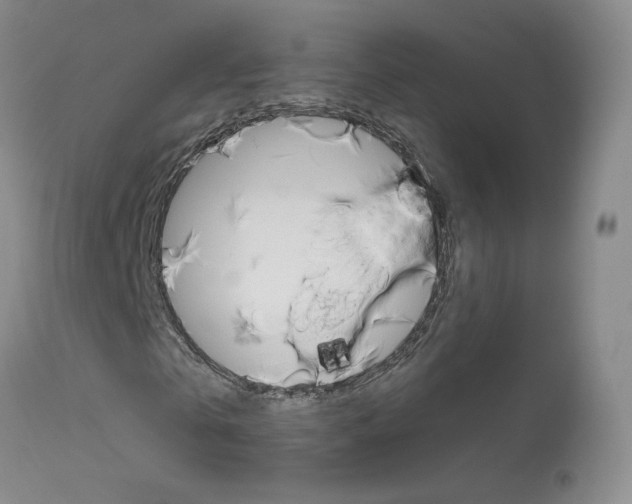 X0000114030769200910021040