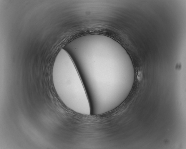 X0000114030771200910021040