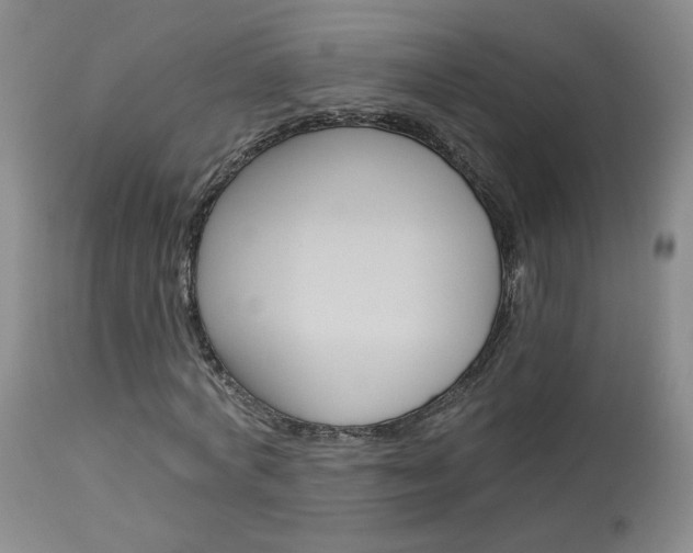X0000114030772200910021040