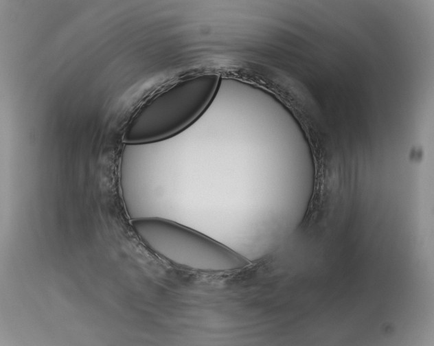 X0000114030773200910021040