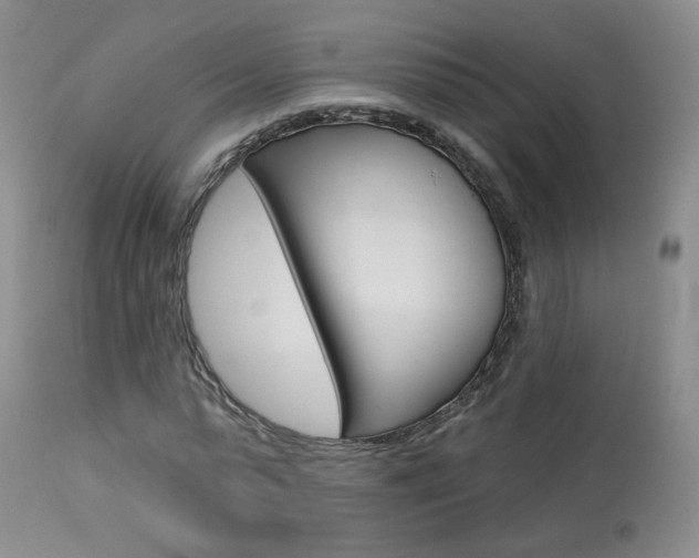 X0000114030775200910021040