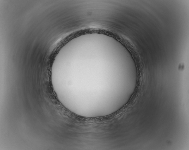 X0000114030776200910021040