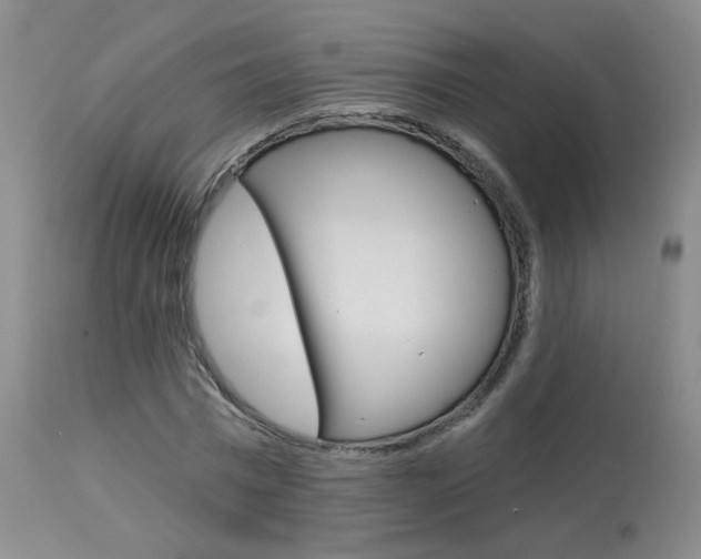 X0000114030777200910021040