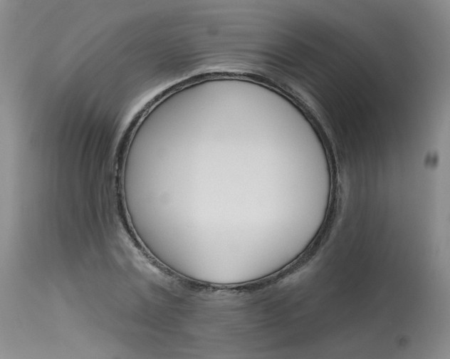 X0000114030779200910021040