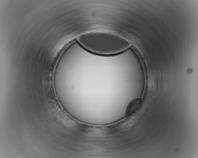 X0000114030781200910021040