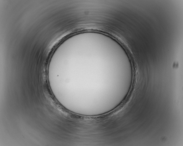 X0000114030782200910021040
