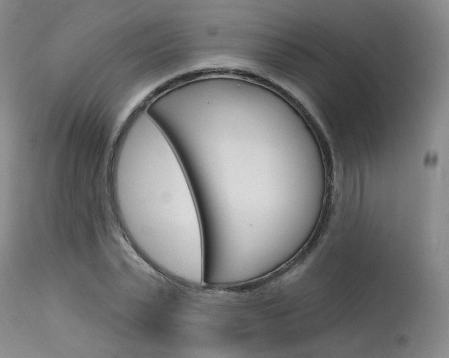 X0000114030783200910021040