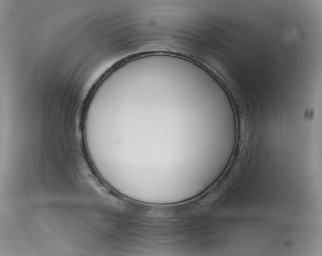 X0000114030788200910021040
