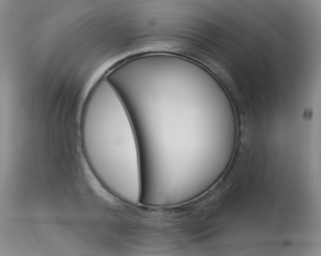 X0000114030792200910021040