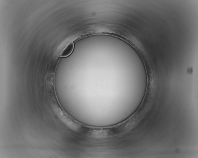 X0000114030793200910021040