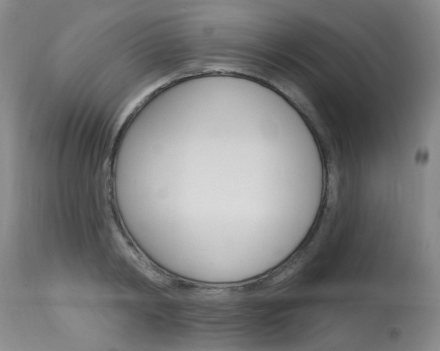 X0000114030798200910021040