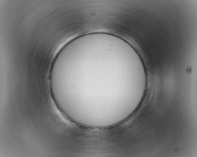 X0000114030806200910021040
