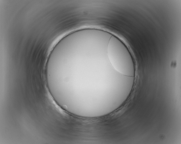 X0000114030807200910021040