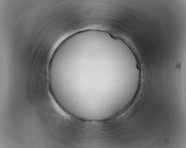X0000114030808200910021040