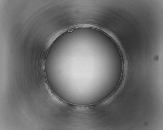 X0000114030809200910021040