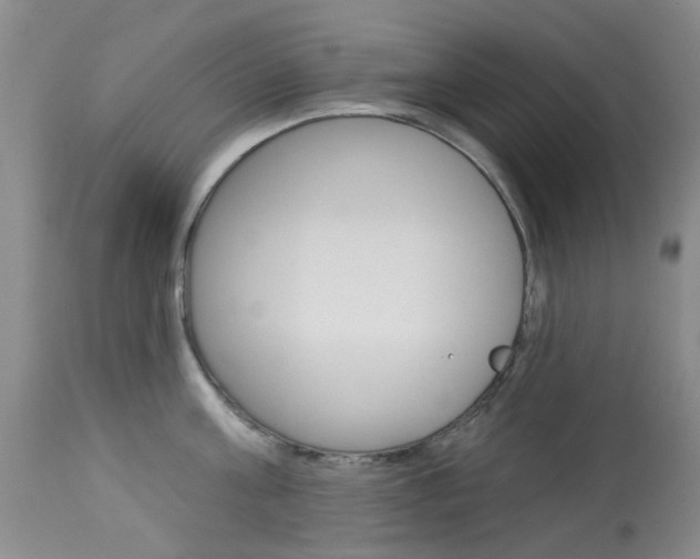 X0000114030811200910021039